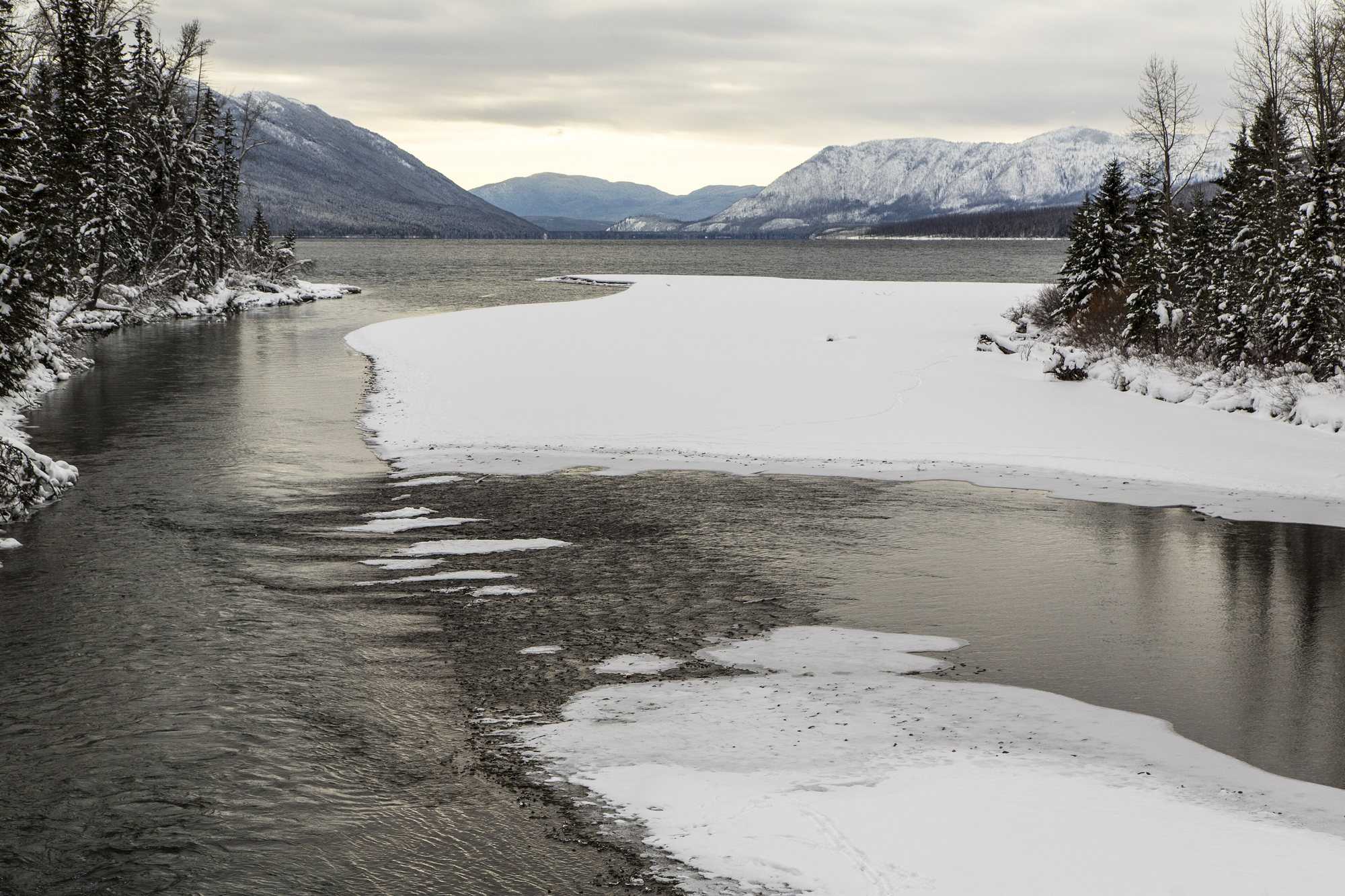 McDonald Creek in winter, with snow on the banks and forest behind.